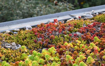 the cost of Ellingstring green roof installation