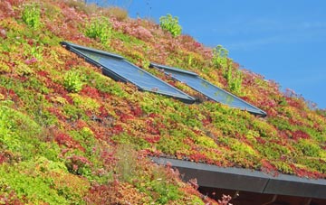 Ellingstring living roof systems
