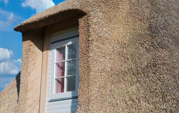 Ellingstring thatch roof disadvantages