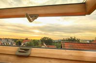 rated Ellingstring roof window companies